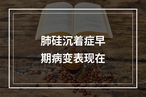 肺硅沉着症早期病变表现在