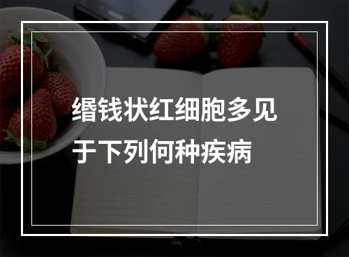 缗钱状红细胞多见于下列何种疾病