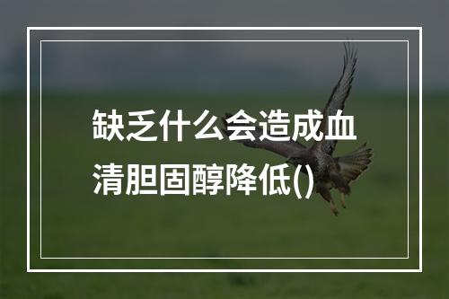 缺乏什么会造成血清胆固醇降低()