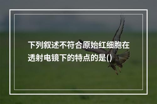 下列叙述不符合原始红细胞在透射电镜下的特点的是()