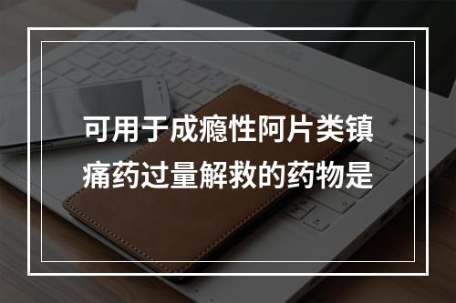 可用于成瘾性阿片类镇痛药过量解救的药物是