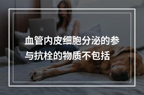 血管内皮细胞分泌的参与抗栓的物质不包括