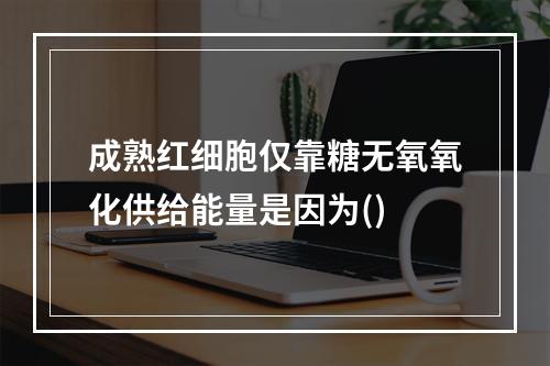 成熟红细胞仅靠糖无氧氧化供给能量是因为()