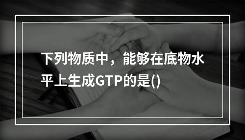 下列物质中，能够在底物水平上生成GTP的是()