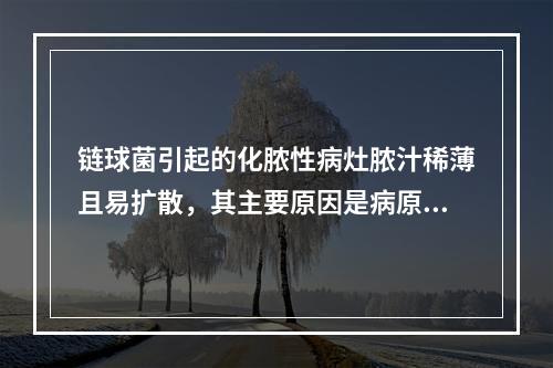 链球菌引起的化脓性病灶脓汁稀薄且易扩散，其主要原因是病原菌能