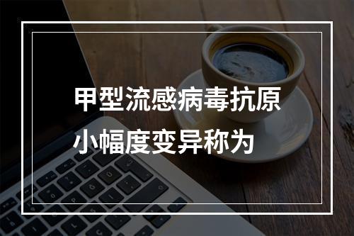 甲型流感病毒抗原小幅度变异称为