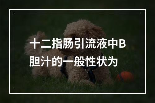 十二指肠引流液中B胆汁的一般性状为