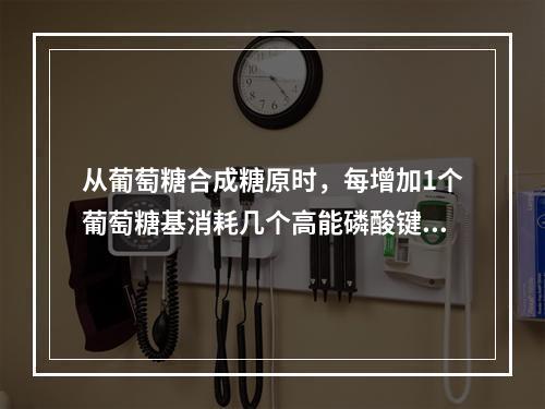 从葡萄糖合成糖原时，每增加1个葡萄糖基消耗几个高能磷酸键()