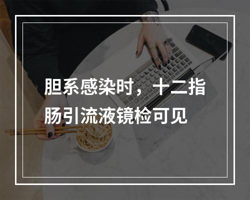 胆系感染时，十二指肠引流液镜检可见