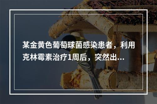 某金黄色葡萄球菌感染患者，利用克林霉素治疗1周后，突然出现发