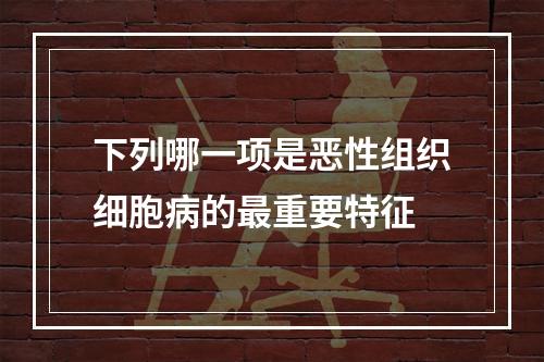 下列哪一项是恶性组织细胞病的最重要特征