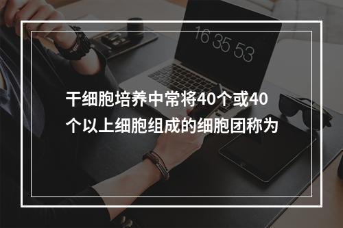 干细胞培养中常将40个或40个以上细胞组成的细胞团称为