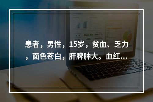 患者，男性，15岁，贫血、乏力，面色苍白，肝脾肿大。血红蛋白