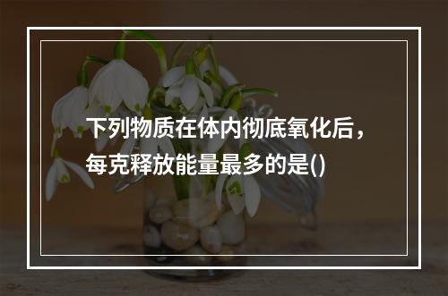 下列物质在体内彻底氧化后，每克释放能量最多的是()