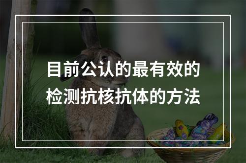 目前公认的最有效的检测抗核抗体的方法