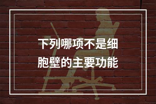 下列哪项不是细胞壁的主要功能