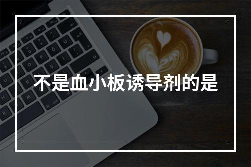 不是血小板诱导剂的是