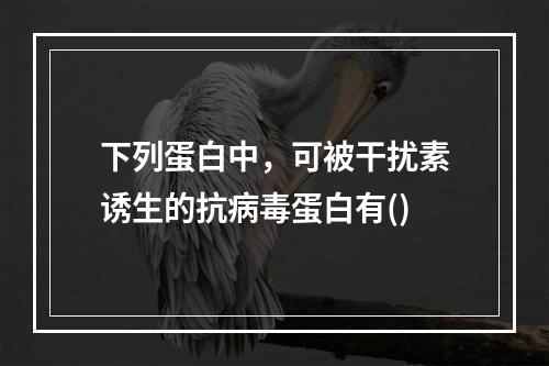 下列蛋白中，可被干扰素诱生的抗病毒蛋白有()