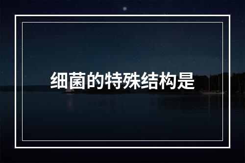 细菌的特殊结构是