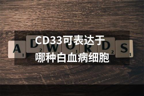 CD33可表达于哪种白血病细胞