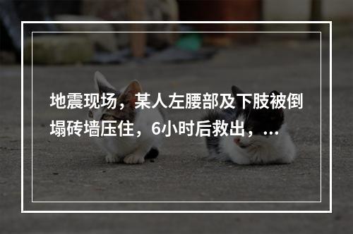 地震现场，某人左腰部及下肢被倒塌砖墙压住，6小时后救出，4小