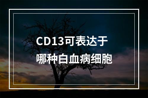 CD13可表达于哪种白血病细胞