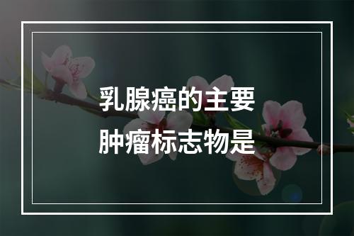 乳腺癌的主要肿瘤标志物是