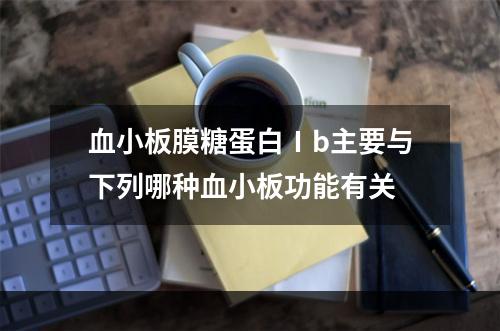 血小板膜糖蛋白Ⅰb主要与下列哪种血小板功能有关