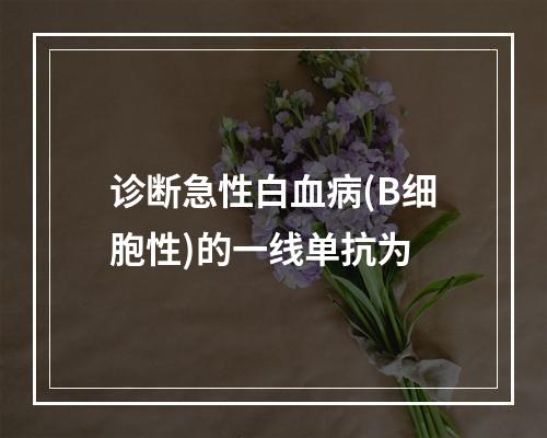 诊断急性白血病(B细胞性)的一线单抗为