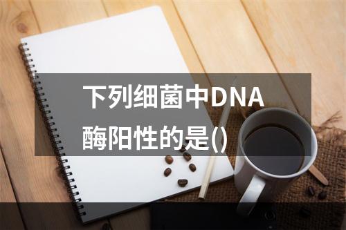 下列细菌中DNA酶阳性的是()