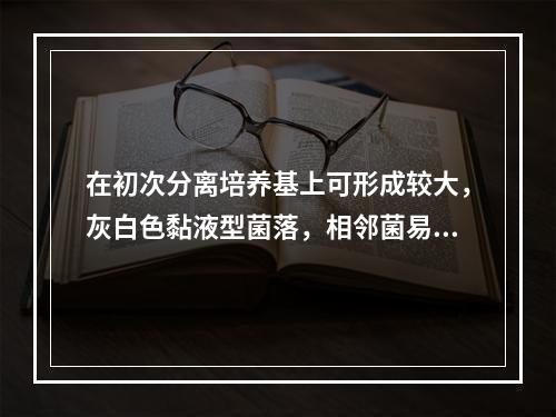 在初次分离培养基上可形成较大，灰白色黏液型菌落，相邻菌易发生