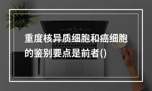 重度核异质细胞和癌细胞的鉴别要点是前者()