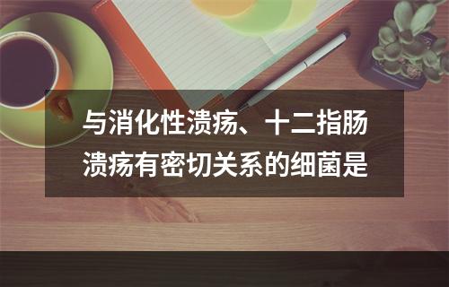 与消化性溃疡、十二指肠溃疡有密切关系的细菌是