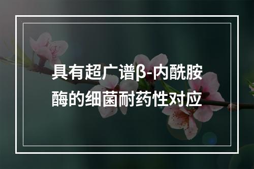 具有超广谱β-内酰胺酶的细菌耐药性对应