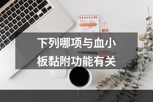 下列哪项与血小板黏附功能有关