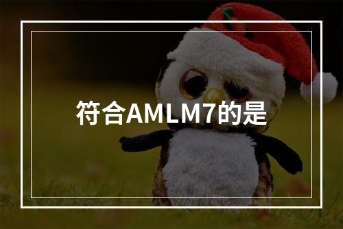 符合AMLM7的是