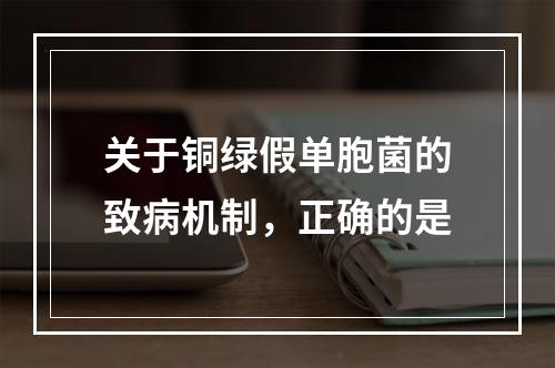 关于铜绿假单胞菌的致病机制，正确的是