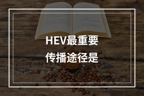 HEV最重要传播途径是