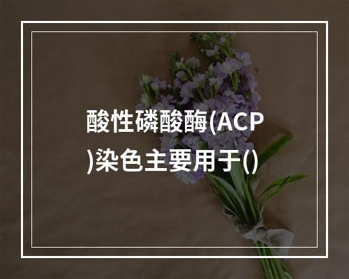 酸性磷酸酶(ACP)染色主要用于()