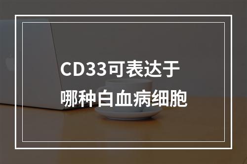 CD33可表达于哪种白血病细胞