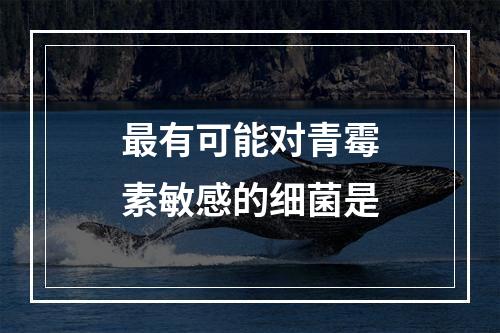 最有可能对青霉素敏感的细菌是