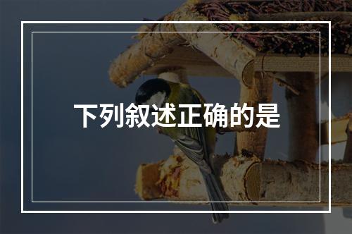 下列叙述正确的是