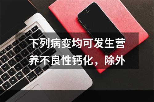 下列病变均可发生营养不良性钙化，除外