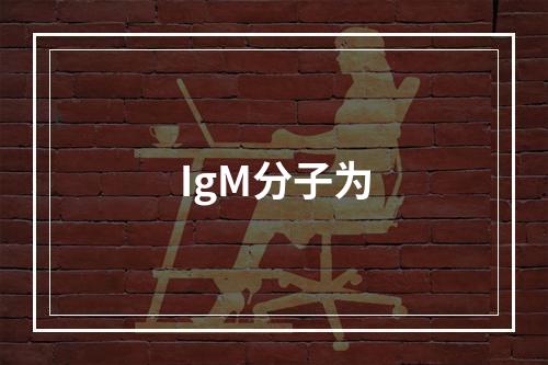 IgM分子为