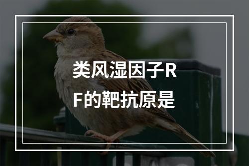 类风湿因子RF的靶抗原是