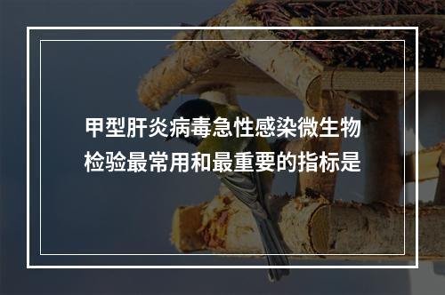 甲型肝炎病毒急性感染微生物检验最常用和最重要的指标是