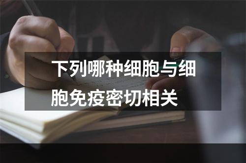 下列哪种细胞与细胞免疫密切相关