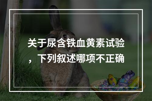 关于尿含铁血黄素试验，下列叙述哪项不正确