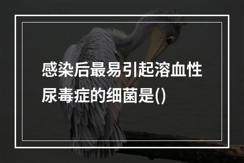 感染后最易引起溶血性尿毒症的细菌是()