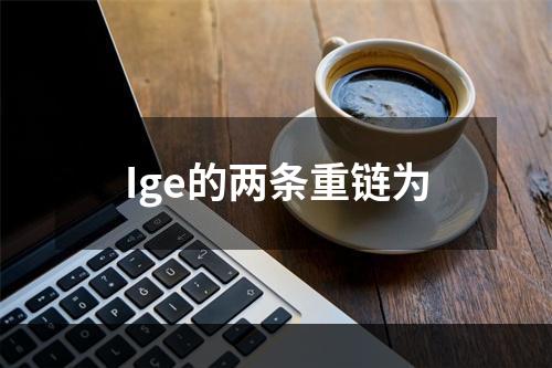 Ige的两条重链为